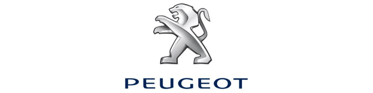 Sospensioni ad aria aggiuntive per Peugeot Boxer